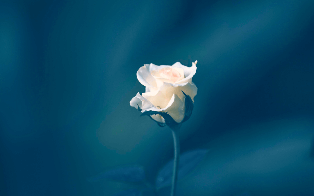Healing Birth Trauma with EMDR | Postpartum PTSD Support for Moms