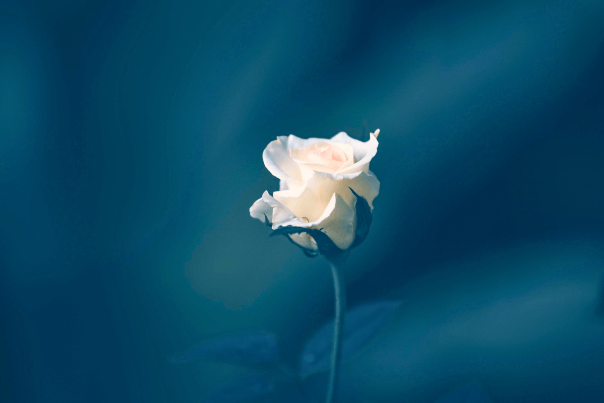 blog-title-image