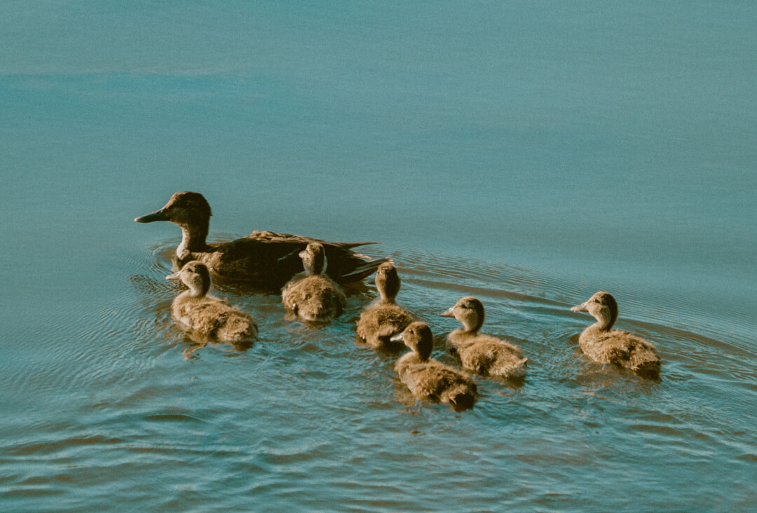 a-special-note-for-mothers