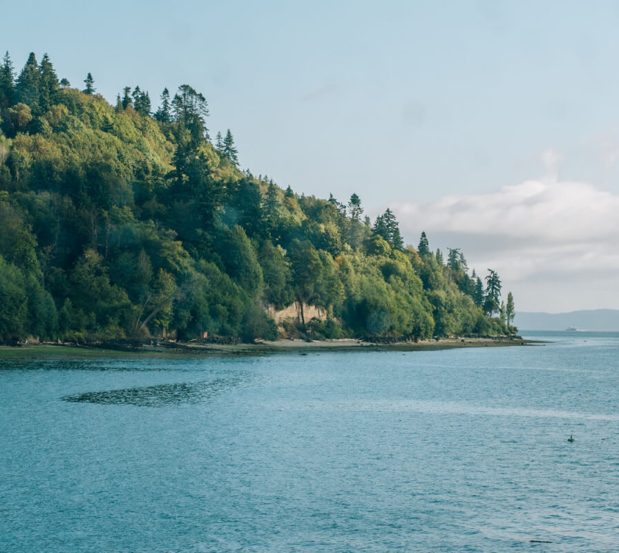 Forested shoreline - EMDR intensives for women Forested shoreline and calm water