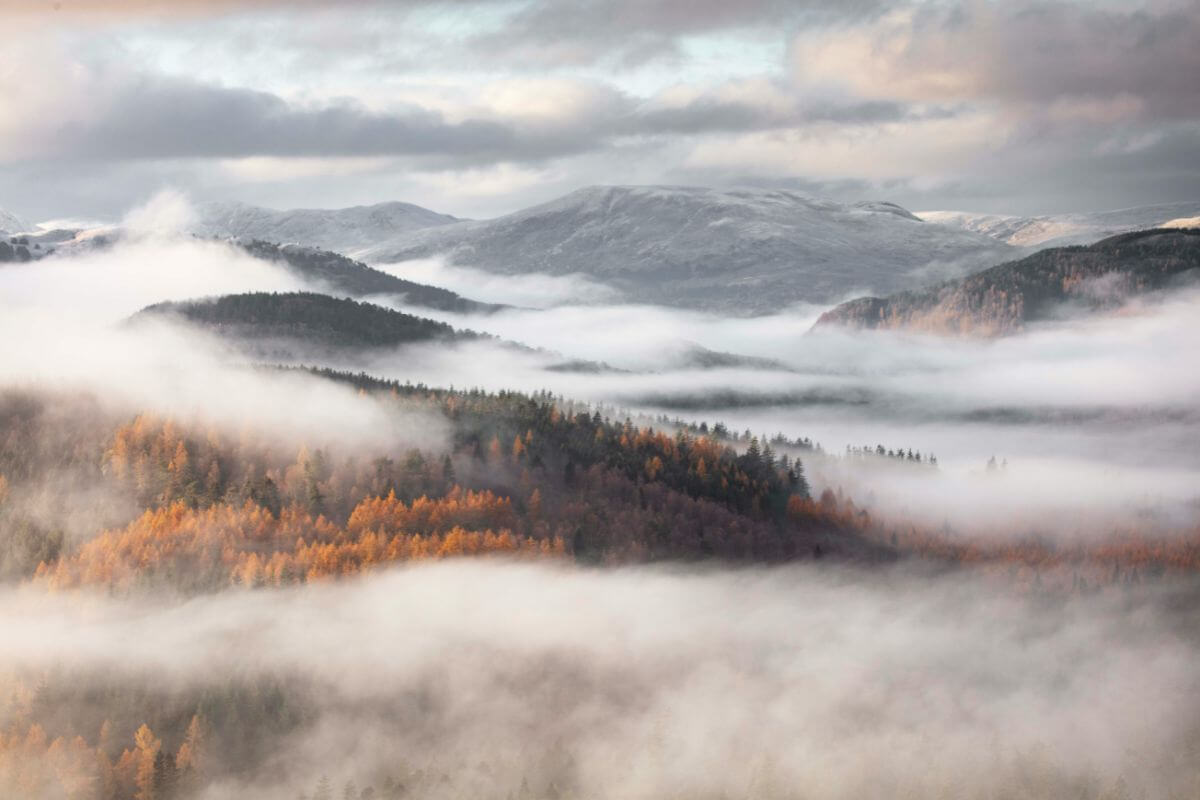 Misty mountain landscape representing the uncertainty and fear of postpartum intrusive thoughts